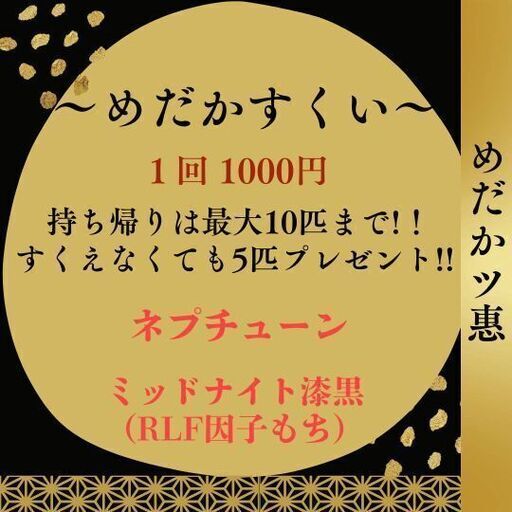 9月16日メダカイベント　都城市道の駅ニクル　めだか