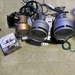 サンゴ、イソギンチャクにメタハラライト