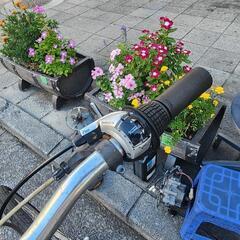 ＧＩＡＮＴ　クロスバイク　７変速　フレーム　アルミ　クロス　配達可能