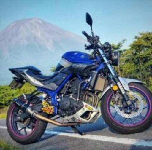 ヤマハ　MT25