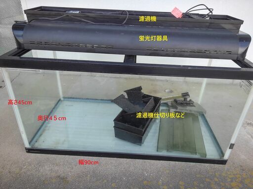 あと8時間90cm大型水槽