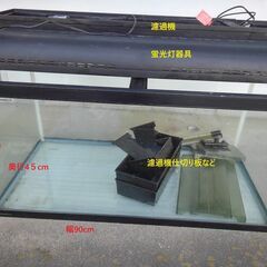 あと8時間90cm大型水槽