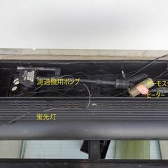 あと8時間90cm大型水槽