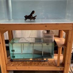 期間限定値下げ　早い者勝ちです　1200×60×45 オーバーフロー水槽  濾過層、水槽台