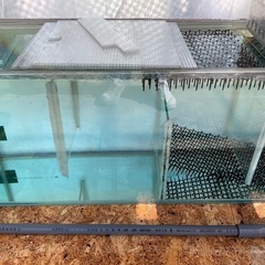 期間限定値下げ　早い者勝ちです　1200×60×45 オーバーフロー水槽  濾過層、水槽台