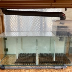 期間限定値下げ　早い者勝ちです　1200×60×45 オーバーフロー水槽  濾過層、水槽台