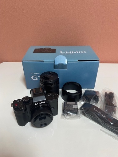 LUMIX G100D Wキット DC-G100DW-K