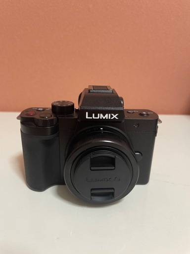 LUMIX G100D Wキット DC-G100DW-K