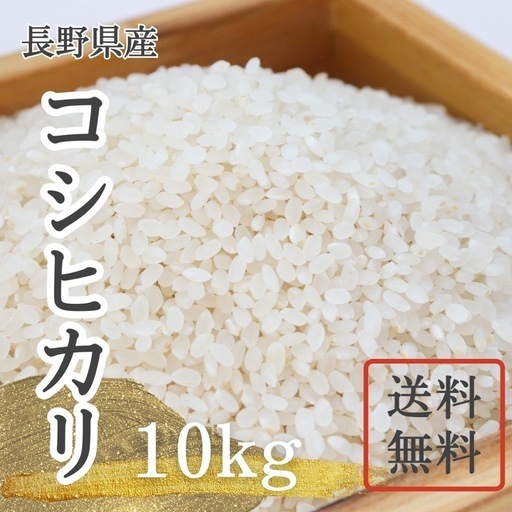 新米 長野県産コシヒカリ10Kg (白米)
