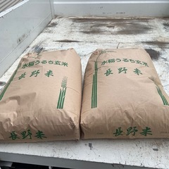 新米 長野県産コシヒカリ30kg (白米)