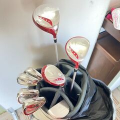 ゴルフクラブセット レディース ウィルソン WILSON Tiara 8本セット EDWIN GOLF キャディバッグ付き  /  AJ-0630-P1 