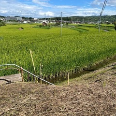 令和6年度お米　受付終了