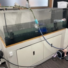 岡山県の大型水槽の中古が安い！激安で譲ります・無料であげます  
