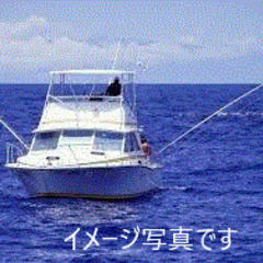 激安　トローリング竿、てんてん竿  　青物釣り