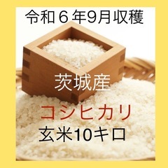 【令和６年】茨城県産コシヒカリ　10kg②