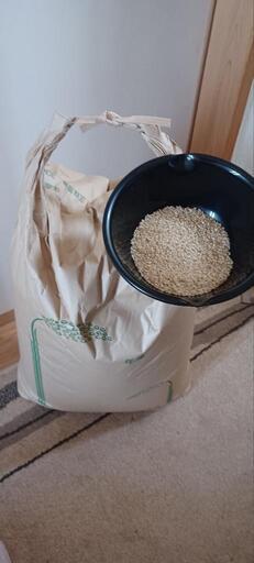 令和5年産千葉コシヒカリ。玄米30kg