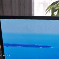 【動画あり】 59000円→25000円 LG 有機ELテレビ OLED55C7P-J 55型 2018年製 スマートテレビ 55インチ 4K 3840x2160 HDR10 倍速 55V ユーチューブ アマプラ ネットフリックス 観れます！