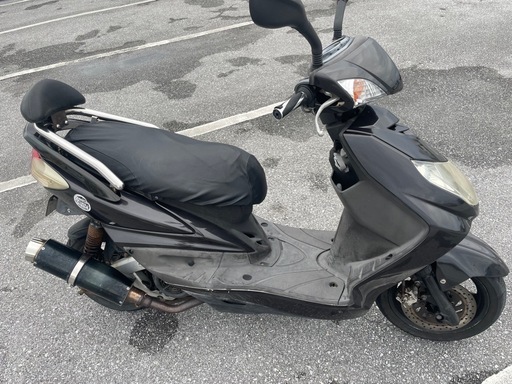 シグナス２型