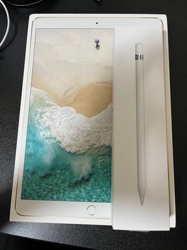 その他 ipad pro 10.5 +apple pencil