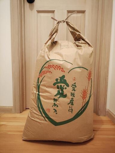 お米（玄米）30Kg ヒノヒカリ　西予市産