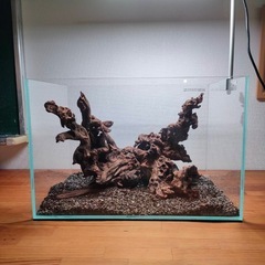 流木10点セット 水槽関連】流木セット2