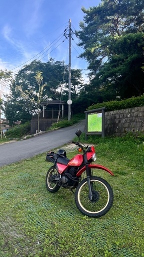 ★希少★ DR250S SJ41A