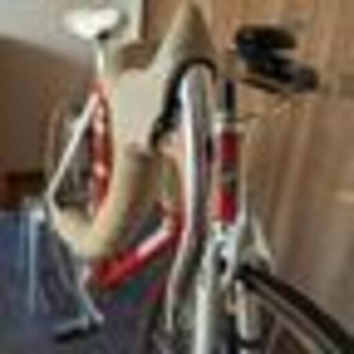 現車確認可 bottecchia コロンバスMAXカンパニューロCレコード組 完成