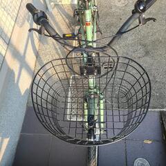 美品(12カ月)　24インチ　自転車(コーナン　オリジナル)