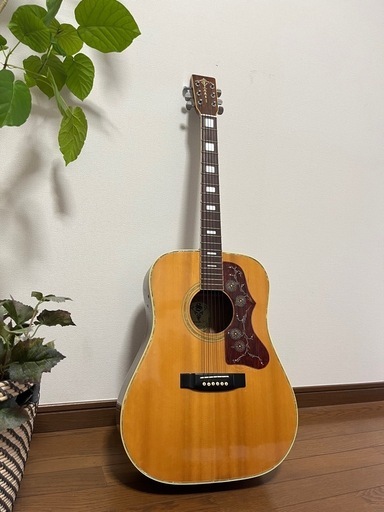 KISO SUZUKI  （GH-250）