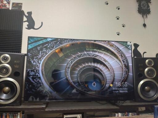 【ほぼ未使用】REGZA 55 ｲﾝﾁ 4K ﾃﾚﾋﾞ 120Hz 対応  55Z570K
