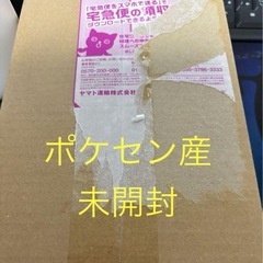 ポケカ ドラゴーナ 5ボックス 