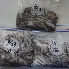 シガヤーダコの中古が安い！激安で譲ります・無料であげます｜ジモティー 