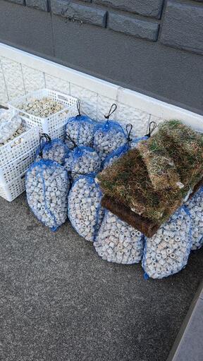 ろ材山盛り 水槽