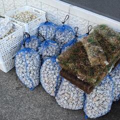 ろ材山盛り 水槽