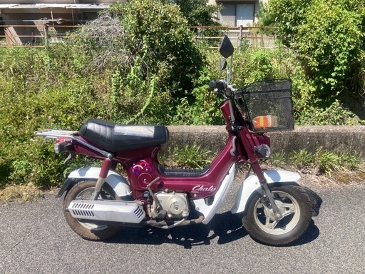 シャリー   実働　広島県三原市出品