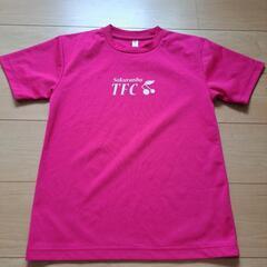 さくらんぼ　TFC　Tシャツ