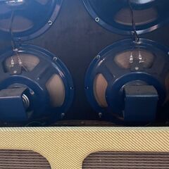 すごい値！袋帯 振袖用 京都 西陣 金糸 金銀箔糸 ラメ糸 金 桜 六通柄 フォーマル 成人式 二十歳 中古 仕立て上がり みやがわ neb00516-Fender 59 BASSMAN  フェンダーベースマン　実働