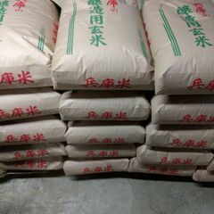 (新米)兵庫県産 産地直送 R6年度産山田錦(酒米)無農薬玄米10kg