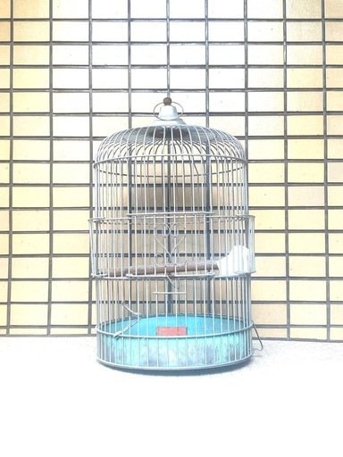 キンセン「KINSEN」鳥かご アンティーク　バードケージ 鳥籠