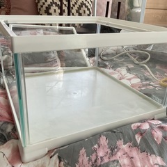 爬虫類ケージ SNUGLE スナグル 超美品 暖突、観賞用LED付き 9/28まで！