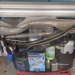  60cm水槽 ほぼフルセット淡水熱帯魚 水草飼育