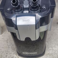  60cm水槽 ほぼフルセット淡水熱帯魚 水草飼育