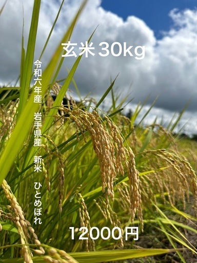 令和6年産 岩手県産 ひとめぼれ 玄米 30kg