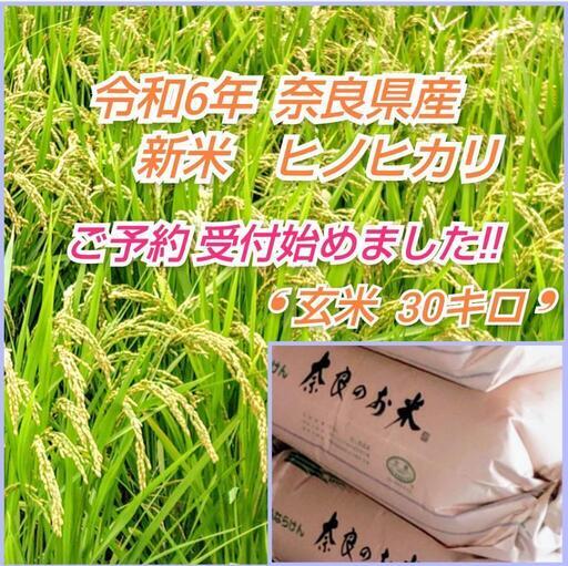 引取限定！大阪堺産　ヒノヒカリ　令和6年　玄米60kg 引取限定！大阪堺産 ヒノヒカリ 令和6年 玄米30kg