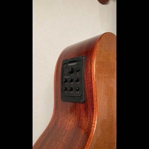 DCT C-311 CE エレガット ガットギタークラシックギター
