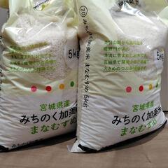 お米 5kg✕2 まなむすめ