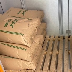 新米コシヒカリ玄米
