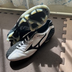 イグニタスの中古が安い！激安で譲ります・無料であげます｜ジモティー 