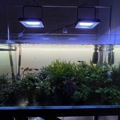 900水槽セット　1台