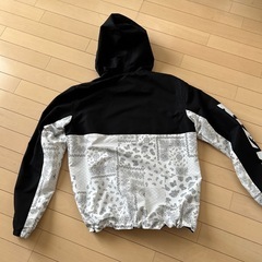 RIZINセットアップ
